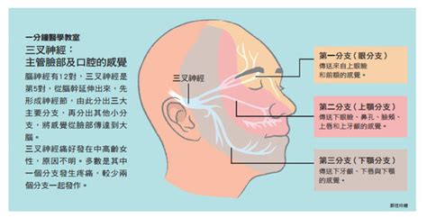 左邊臉痛|臉頰疼痛 到底是牙痛還是三叉神經痛？